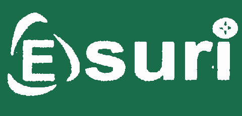 Esuri Infotech